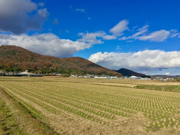 投稿：吉備津でお散歩