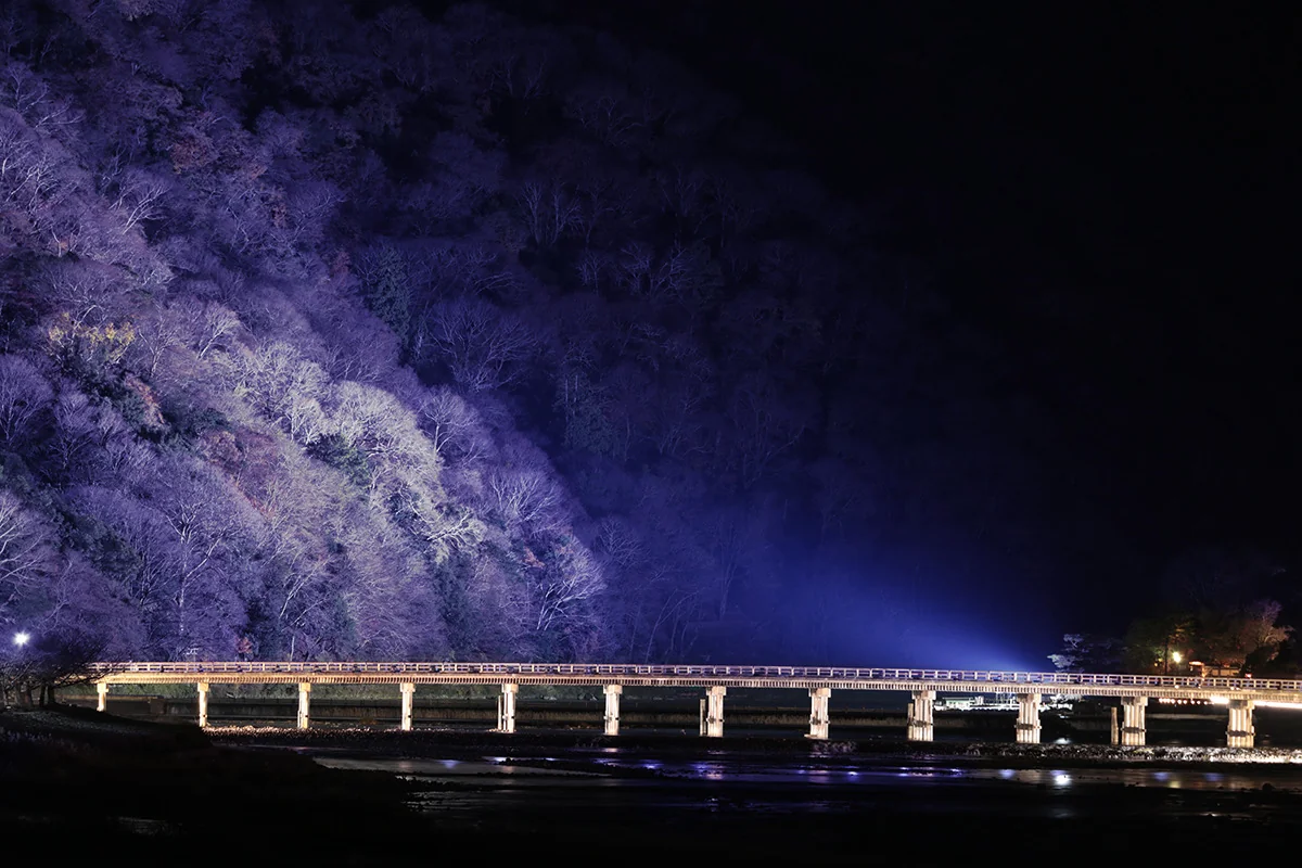 投稿写真：嵐山　花灯路