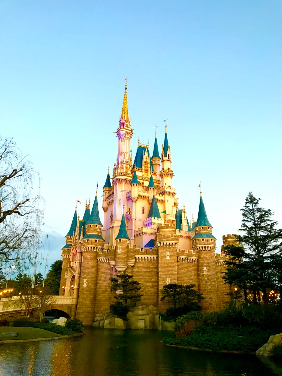 投稿写真：究極の怠け者見参