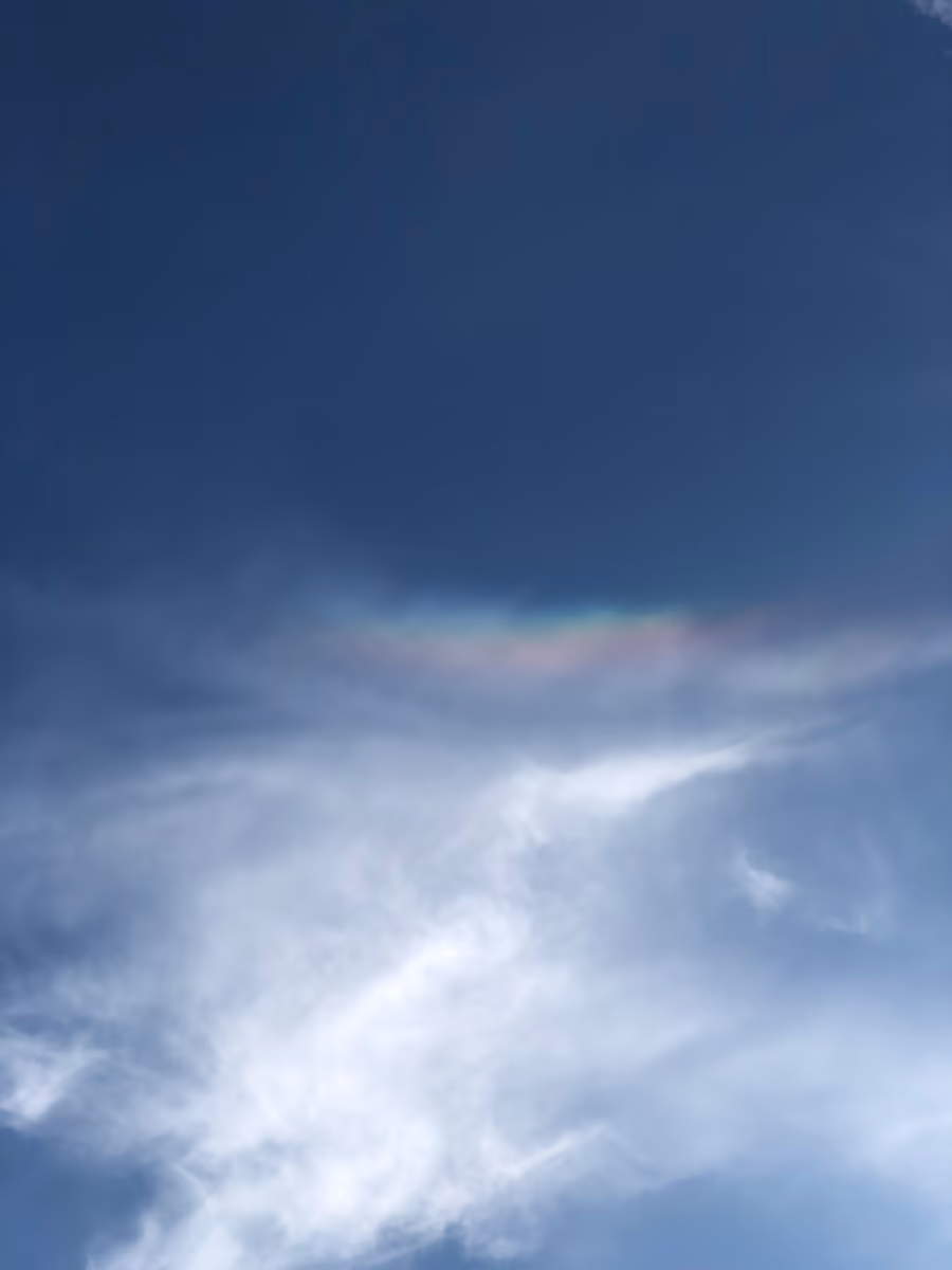 投稿写真：Rainbow and shine
