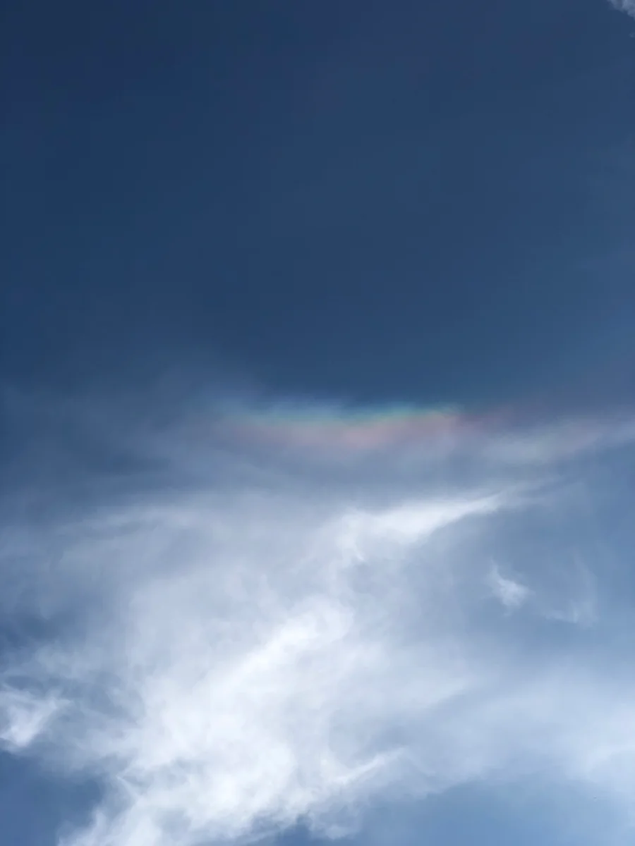 投稿写真：Rainbow and shine