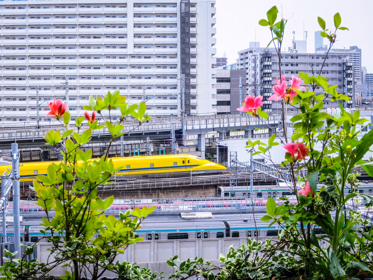 投稿写真：ツツジとドクターイエロー