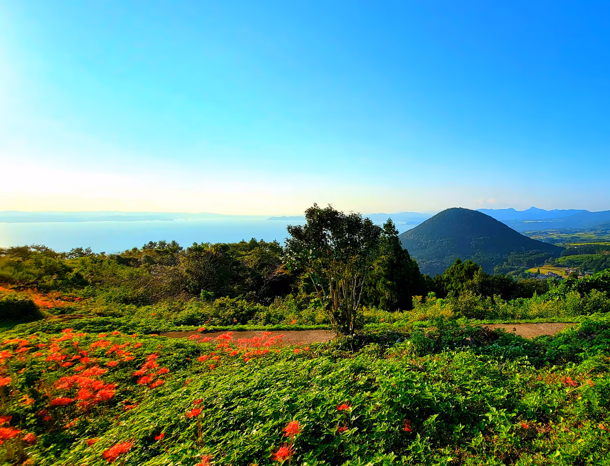 投稿写真：展望台から