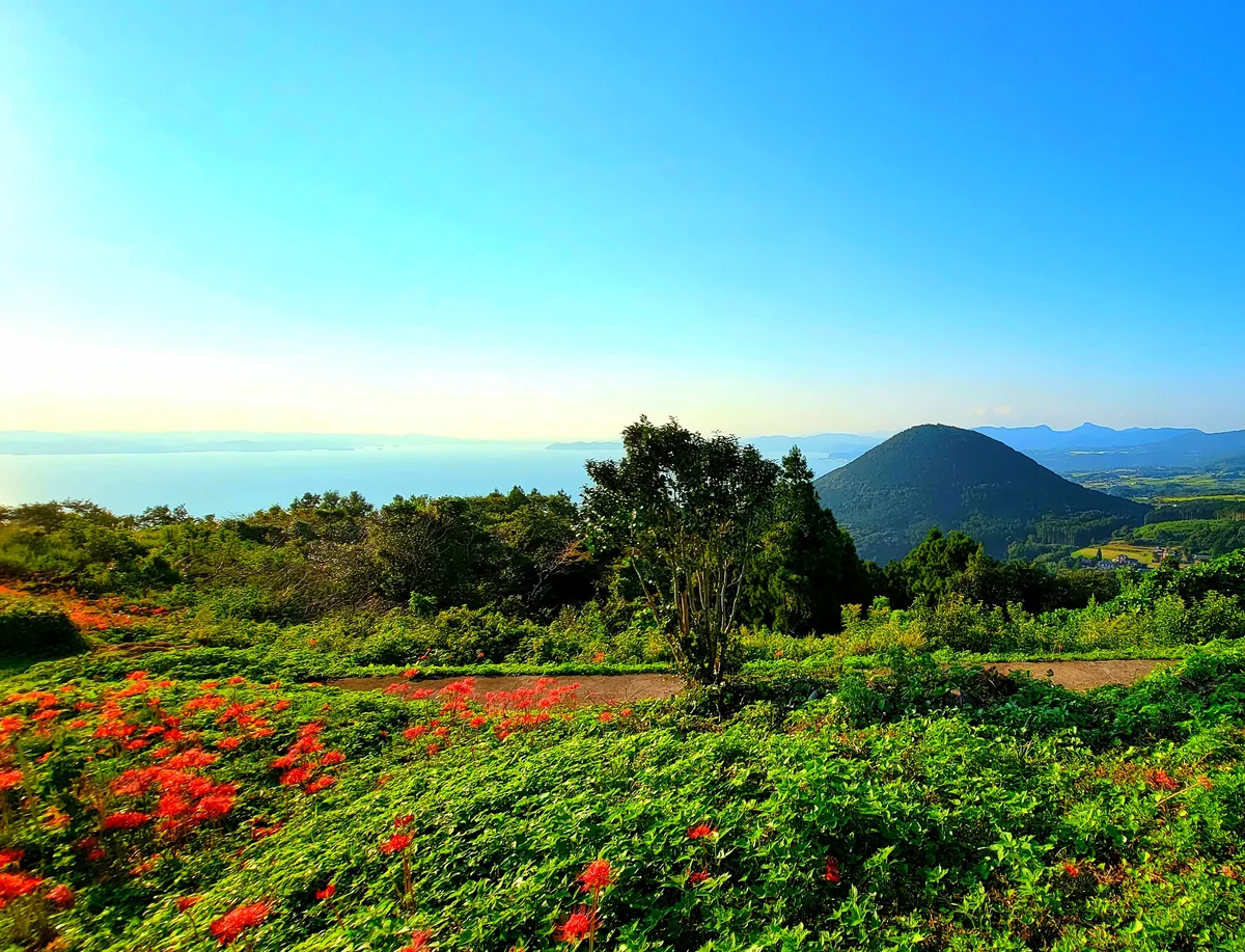 投稿写真：展望台から