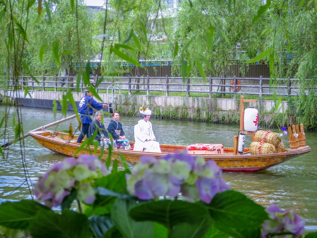 投稿写真：潮来花嫁さん~あじさいと嫁入り舟