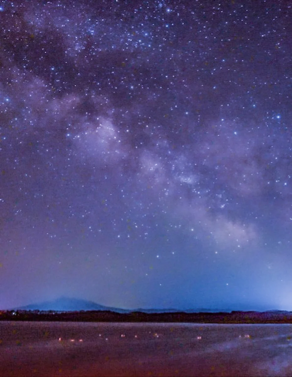 投稿写真：天の川と白鳥