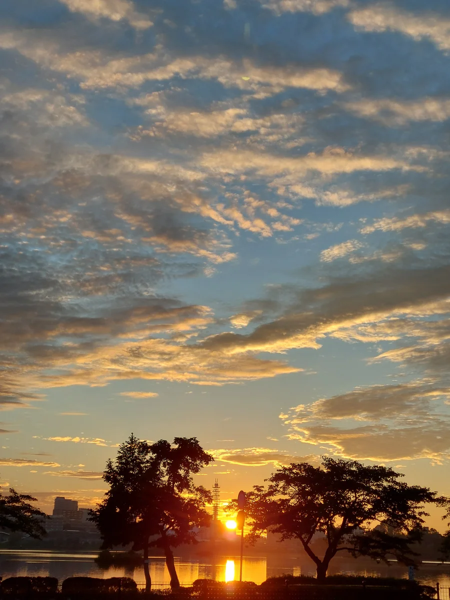 投稿写真：朝焼け