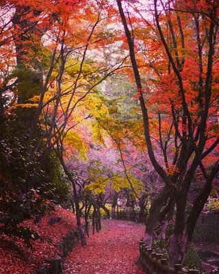 | 絶景事典