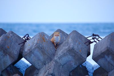  | 絶景事典