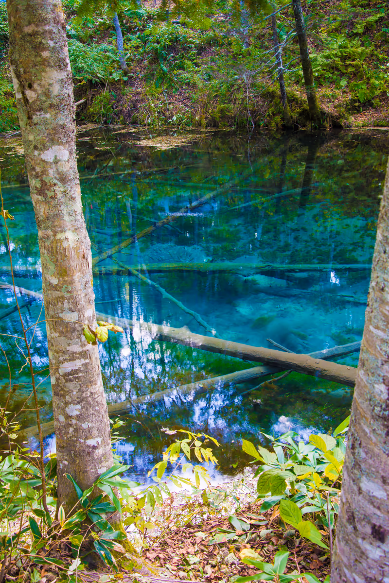 投稿写真：北海道　神の子池