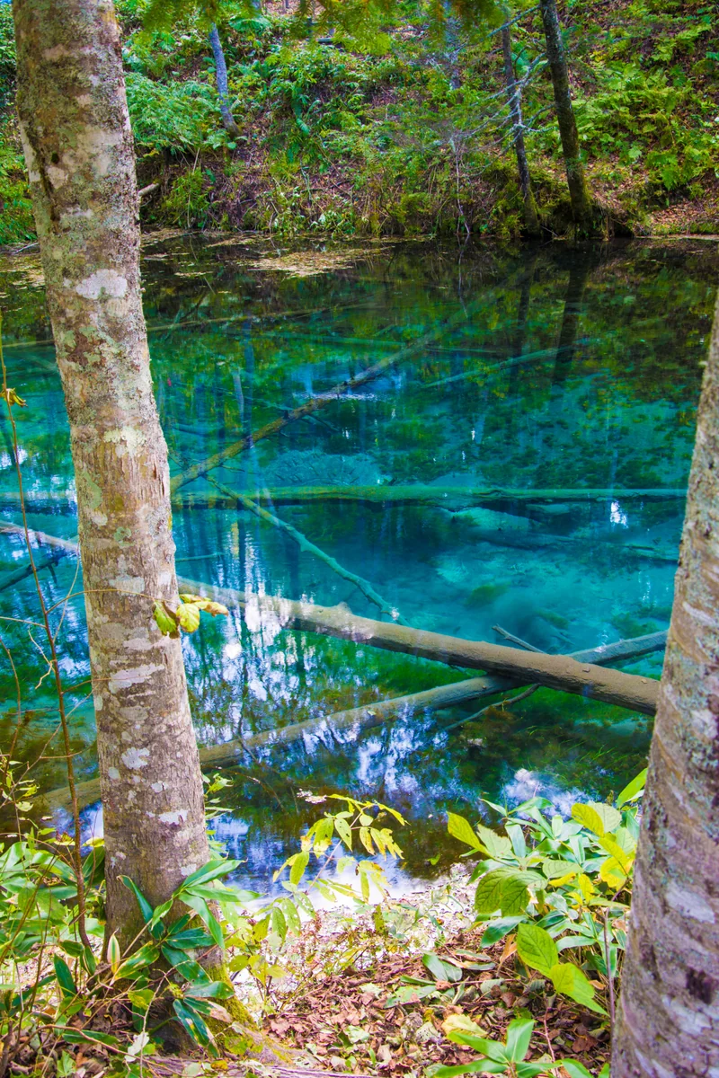 投稿写真：北海道　神の子池