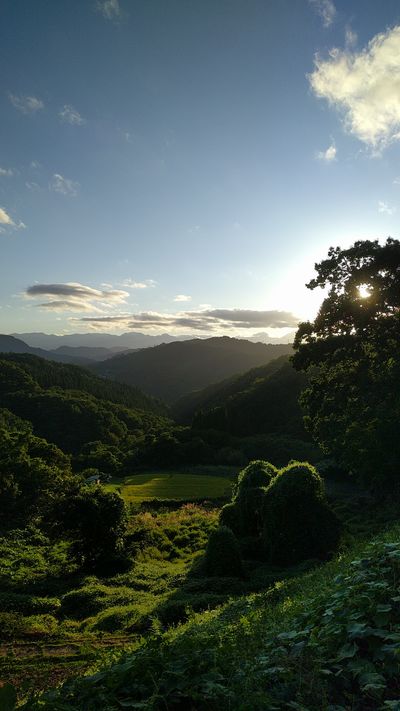  | 絶景事典