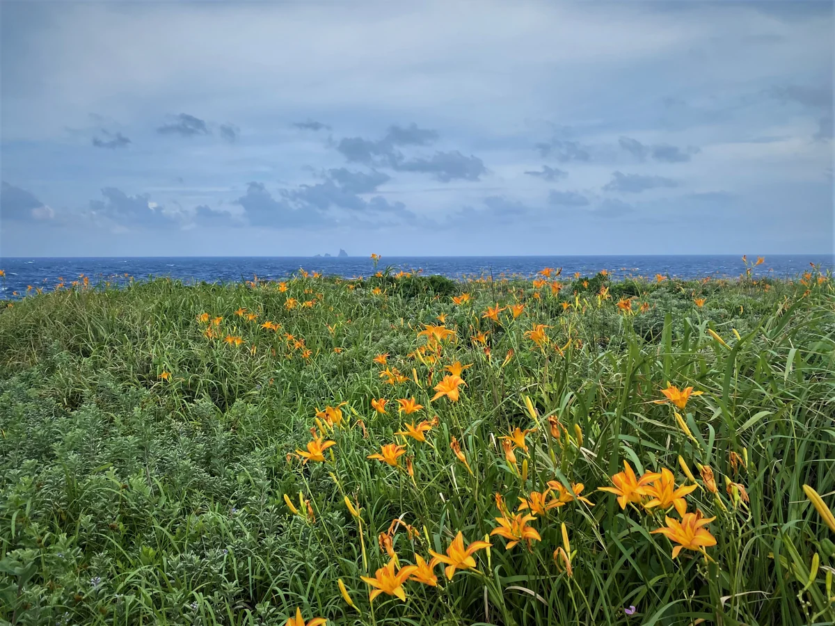 投稿写真：海の日の景色