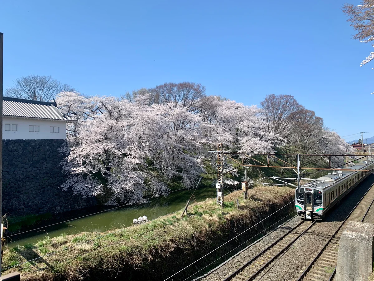 投稿写真：国指定史跡山形城跡「霞城公園」♪
