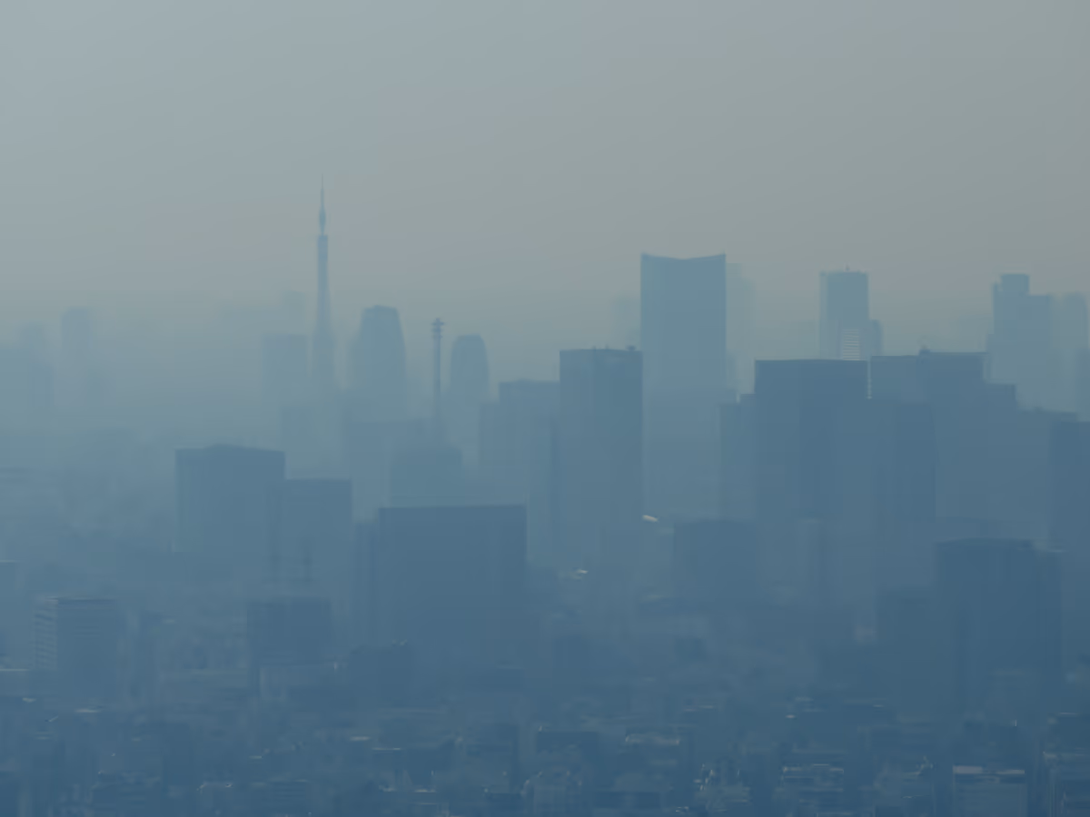 投稿写真：靄の東京