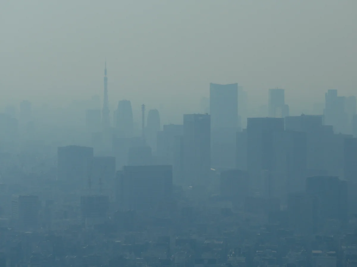 投稿写真：靄の東京