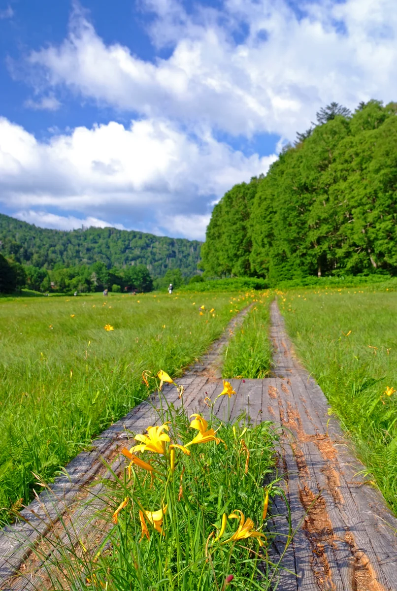 投稿写真：夏が来た