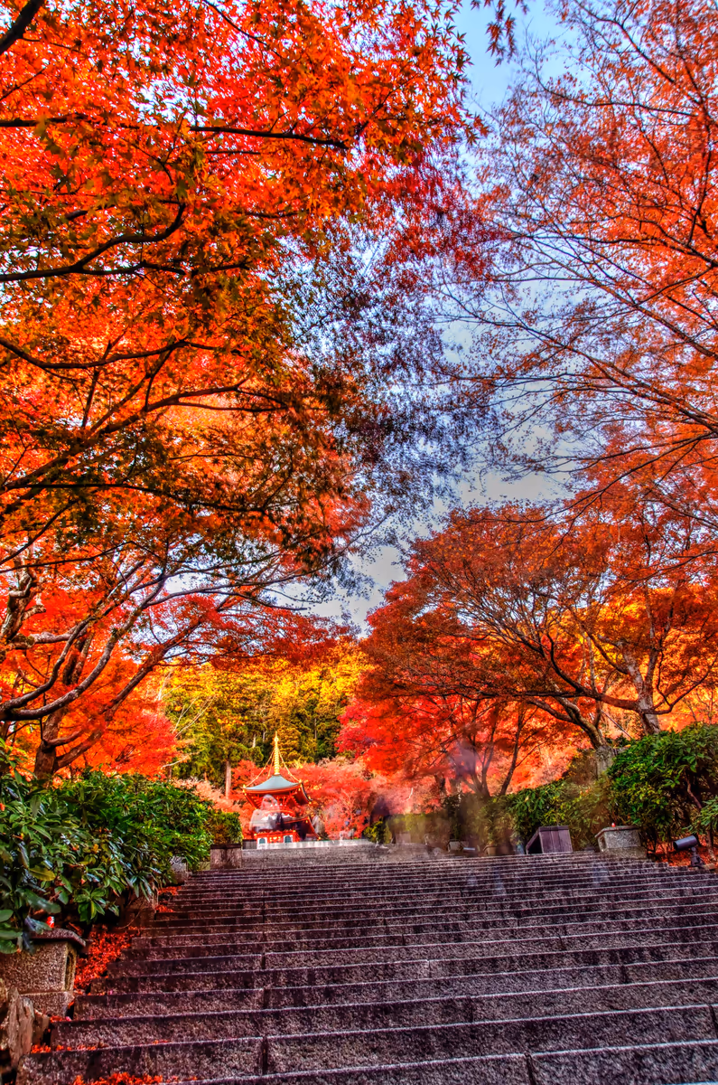 投稿写真：勝尾寺　秋の参道