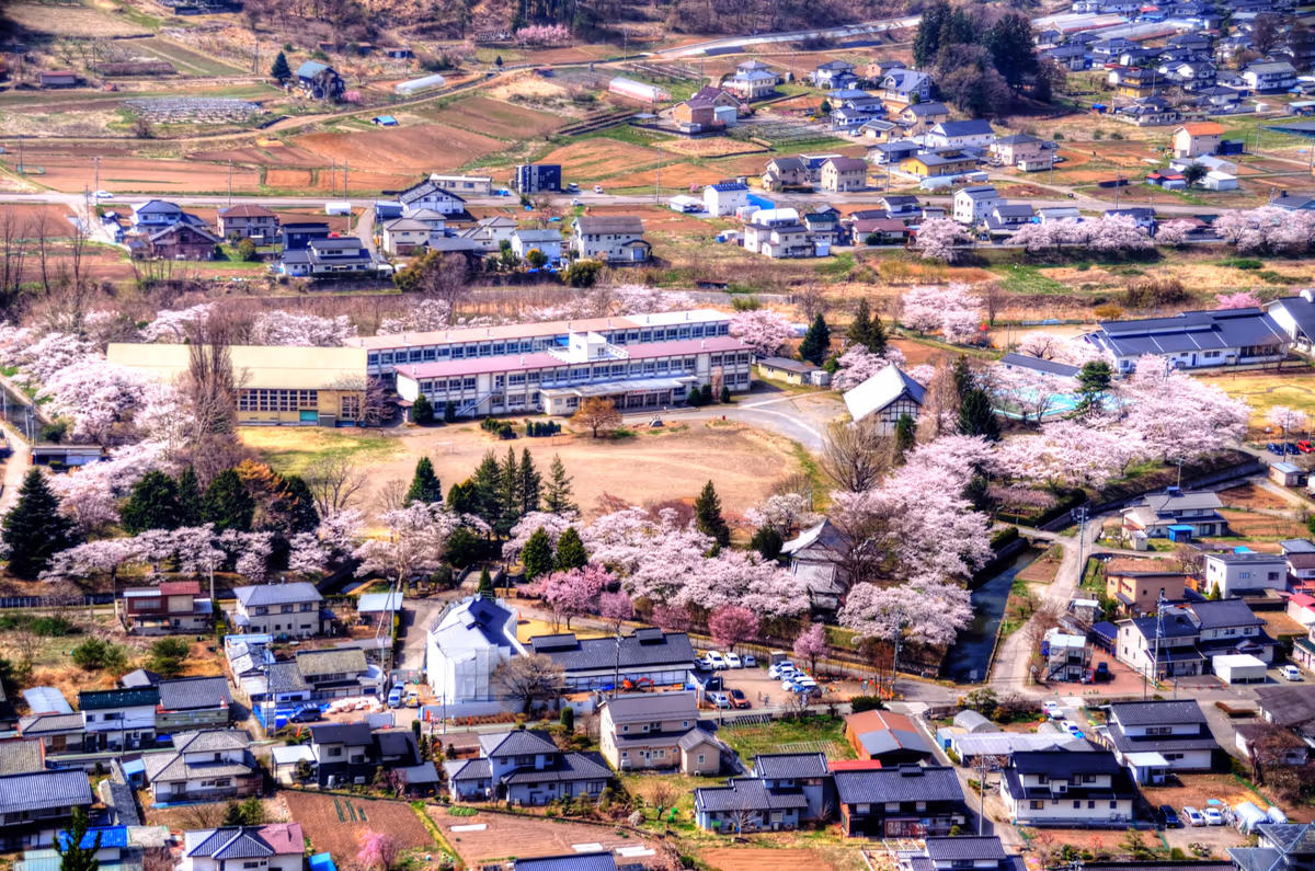 投稿写真：もう一つの五稜郭