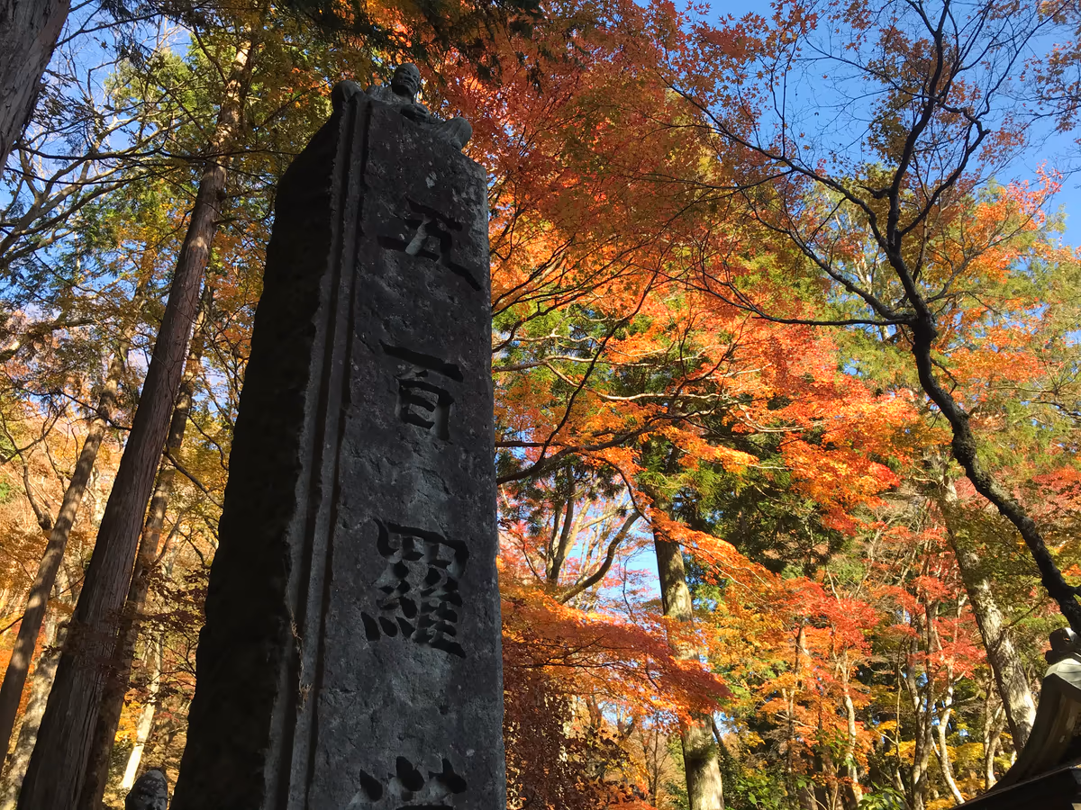 投稿写真：秋突入