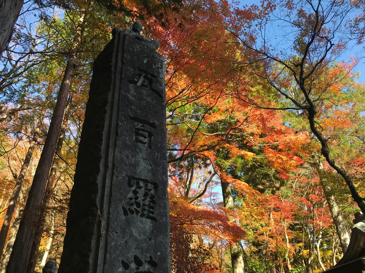 投稿写真：秋突入