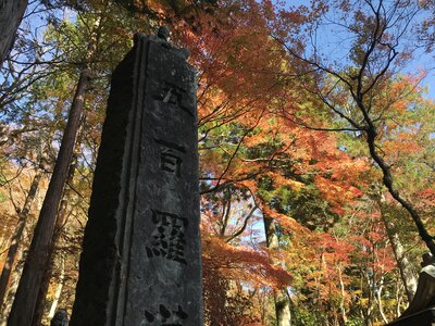  | 絶景事典