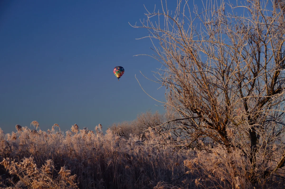 投稿写真：冬の枯野の熱気球