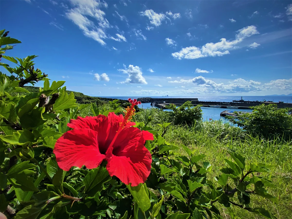 投稿写真：夏の気配