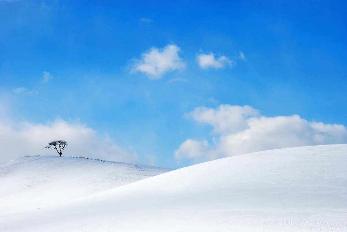 投稿写真：北海道標津町の風景