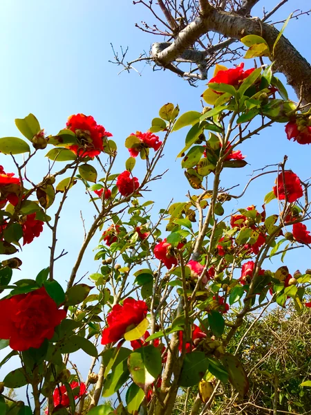 投稿：安心して過ごせる当たり前の日常を