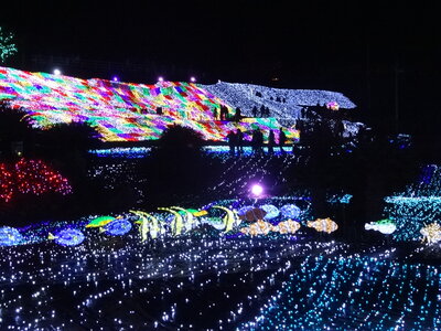 投稿：『グランイルミ』＼伊豆ぐらんぱる公園