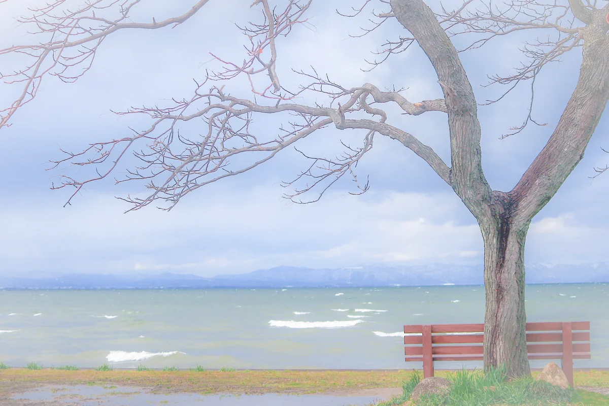 投稿写真：あのベンチ