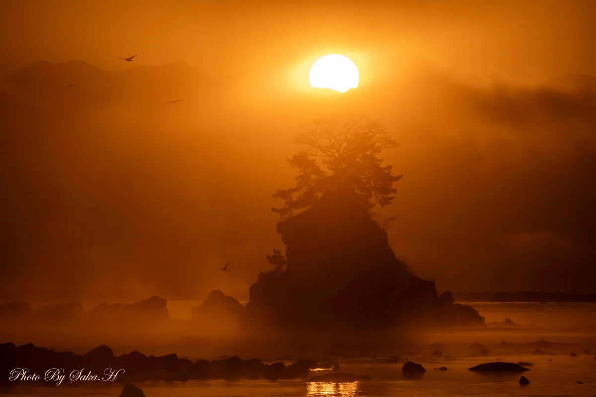 投稿写真：毛嵐の朝