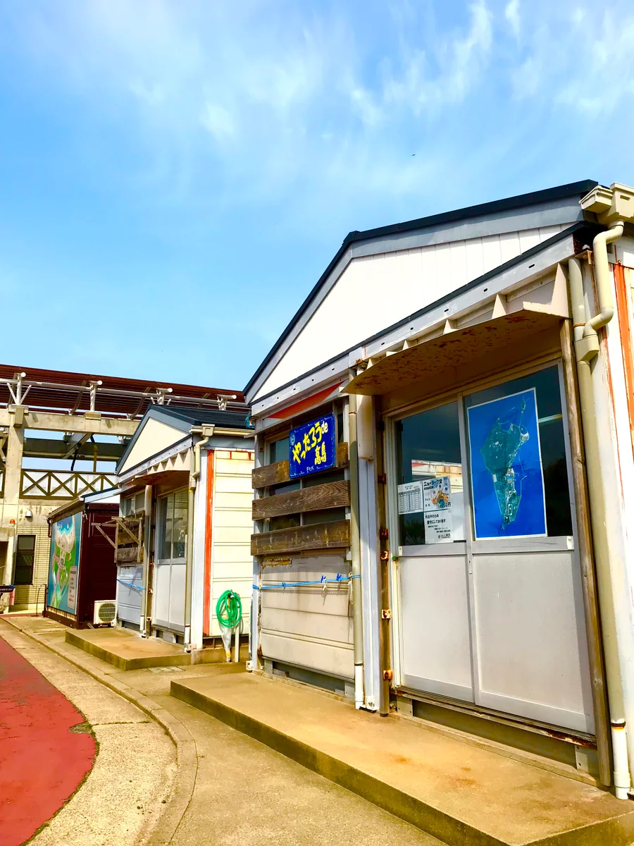 投稿写真：SUMMERじゃない？