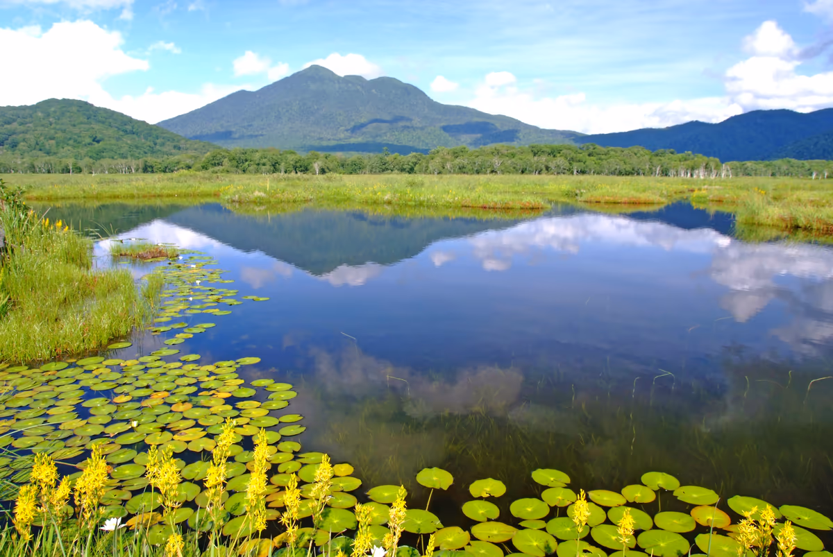 投稿写真：夏、燧ケ岳