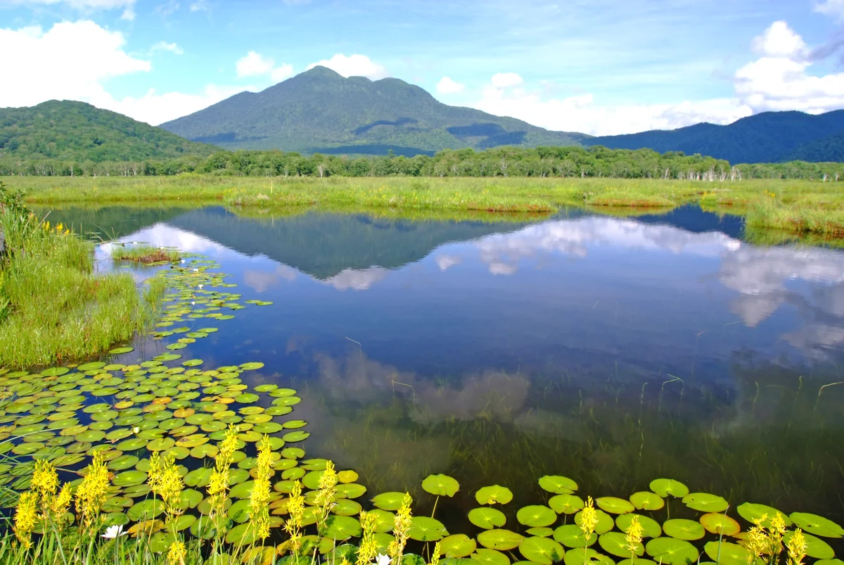 投稿写真：夏、燧ケ岳