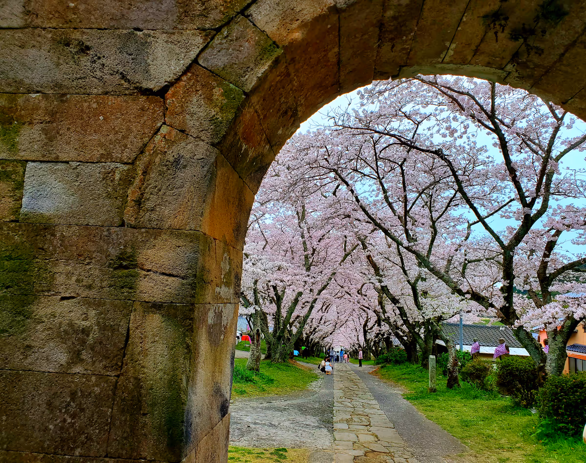 投稿写真：円応寺・石の門