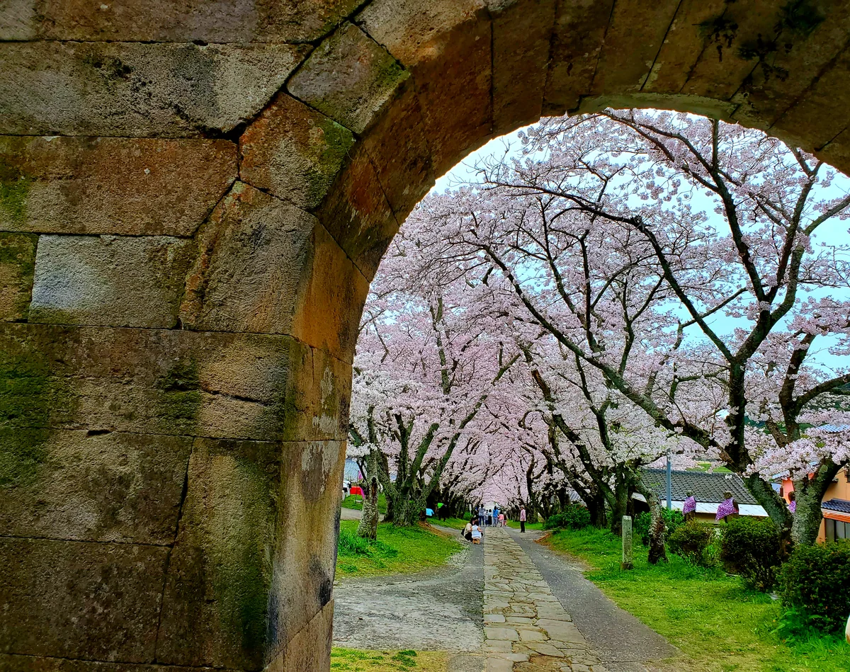 投稿写真：円応寺・石の門
