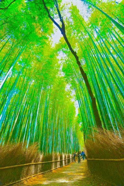  | 絶景事典