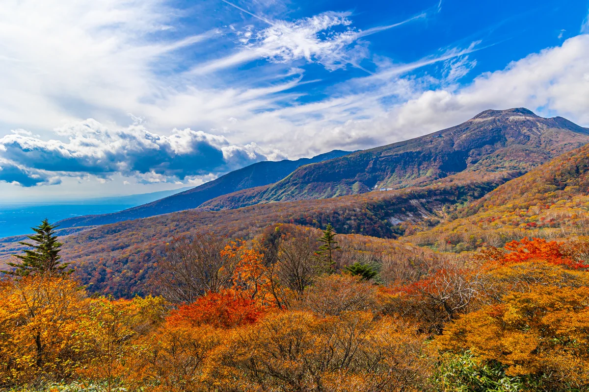 投稿写真：秋の茶臼岳