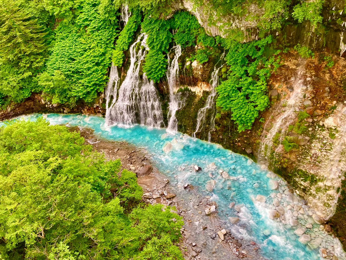 投稿写真：白ひげの滝