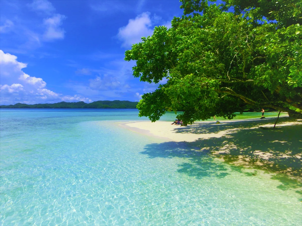 投稿写真：パラオ