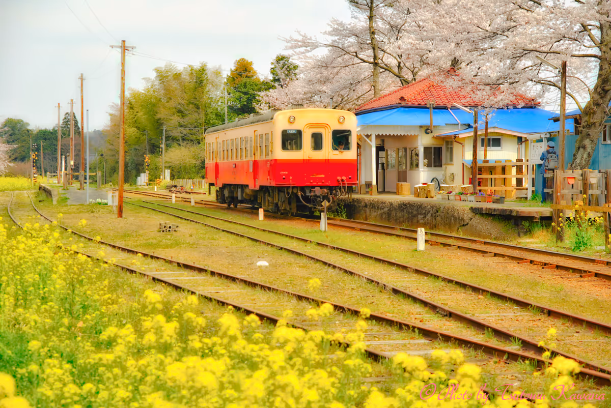 投稿写真：春の停車駅・房総小湊鉄道