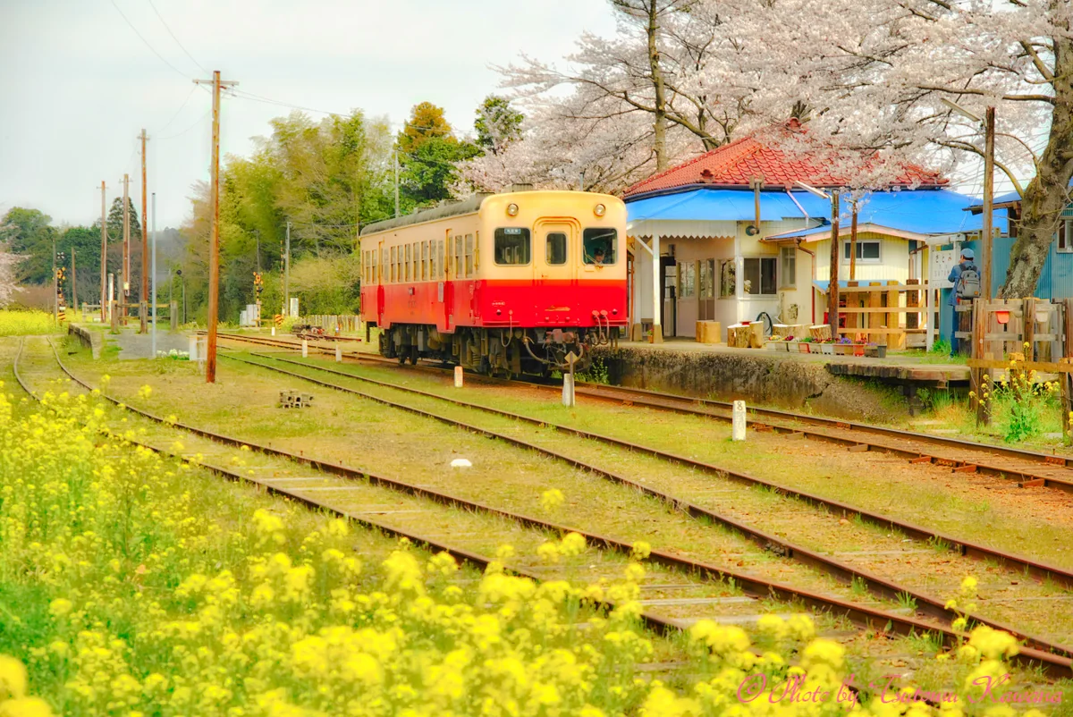 投稿写真：春の停車駅・房総小湊鉄道