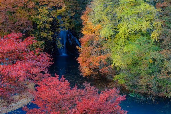 投稿：桃太郎の滝と紅葉