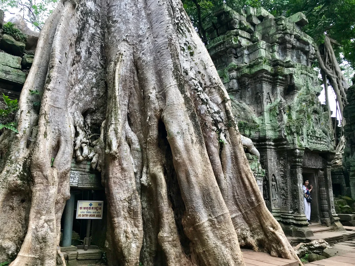 投稿写真：タ・プローム