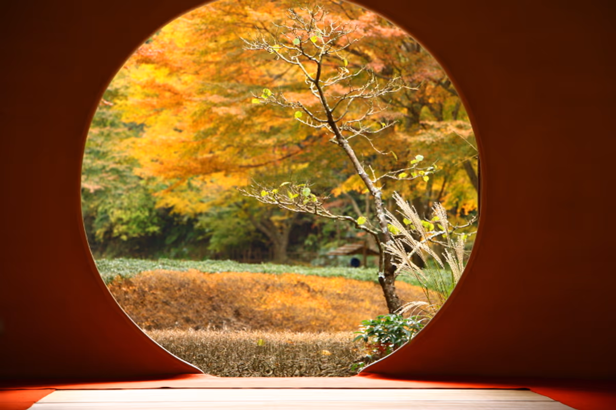 投稿写真：小さな秋
