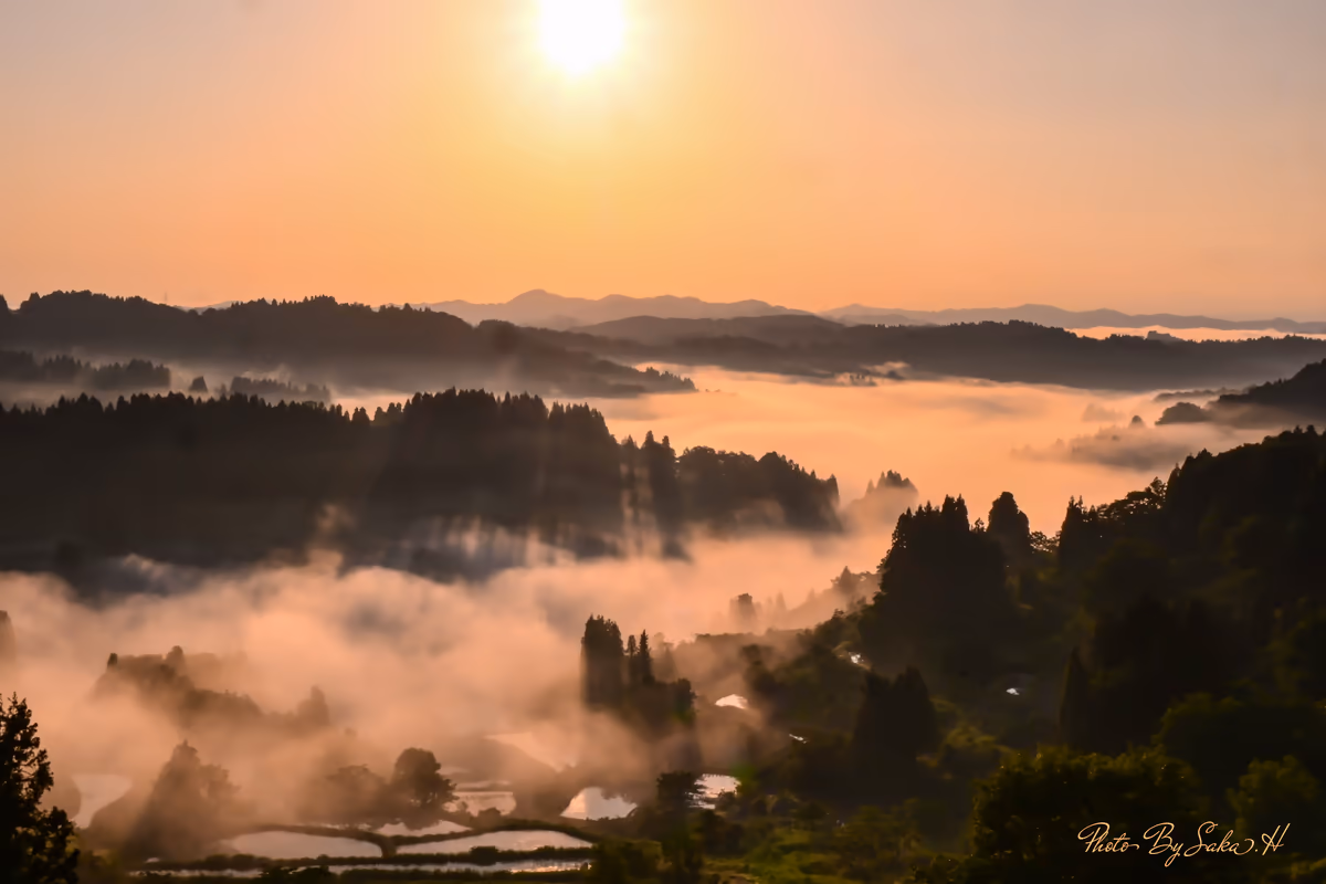 投稿写真：染まる雲海