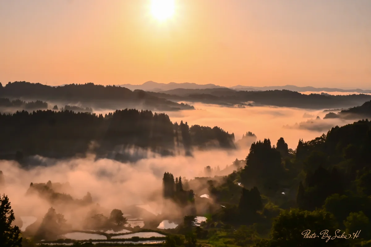 投稿写真：染まる雲海