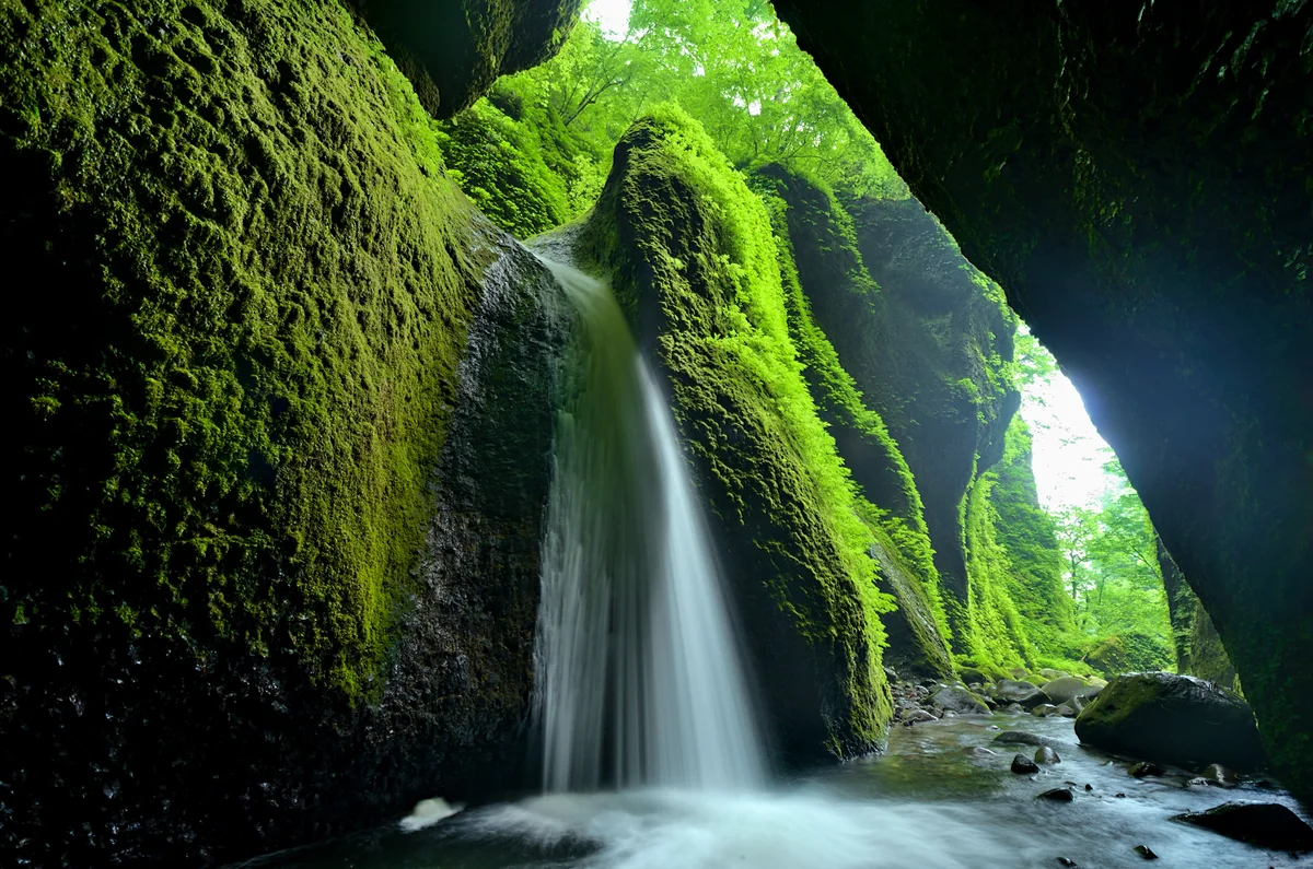 投稿写真：シワガラの滝